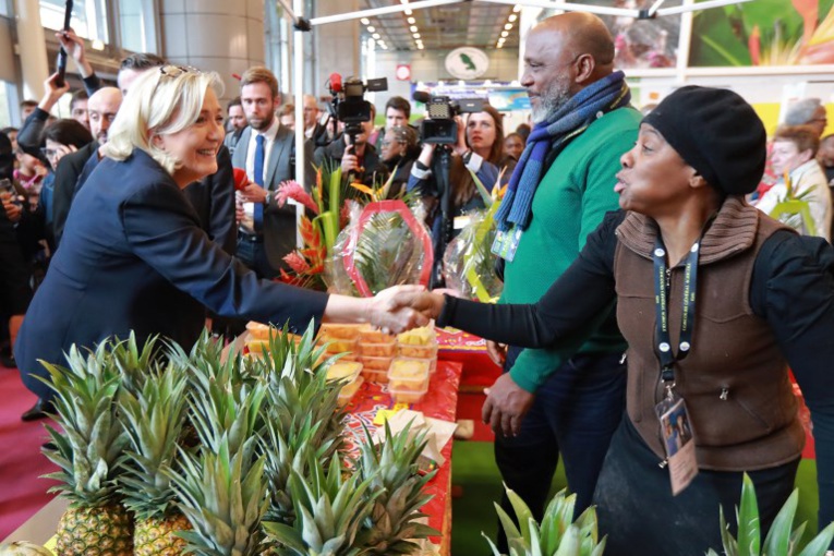 Européennes: la tête de liste RN se rend en Guyane, Martinique et Guadeloupe