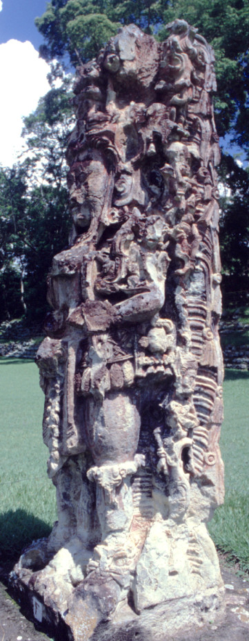 Copan est célèbre dans le monde maya pour ses stèles magnifiant, en textes et en images, les hauts faits des rois de la cité.