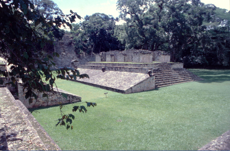 Le célèbre jeu de paume de Copan. Le roi Lapin XVIII fut battu lors d’un match par son voisin le roi de Quirigua, Ciel Cauac. Lapin XVIII perdit la face… et la tête, puisque le battu était décapité ! Le célèbre jeu de paume de Copan. Le roi Lapin XVIII fut battu lors d’un match par son voisin le roi de Quirigua, Ciel Cauac. Lapin XVIII perdit la face… et la tête, puisque le battu était décapité !