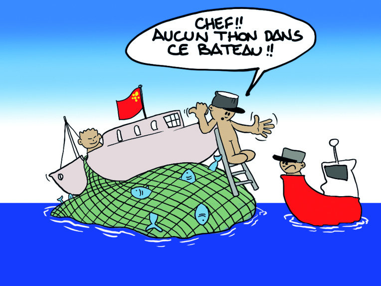 " Les thoniers chinois " vu par Munoz " Les thoniers chinois " vu par Munoz