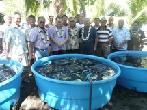 L’exportation de bénitiers destinés à l’aquariophilie : un tremplin pour les Tuamotu de l’Est