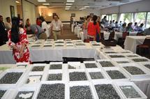 Seconde vente aux enchères internationale de perles de l'année