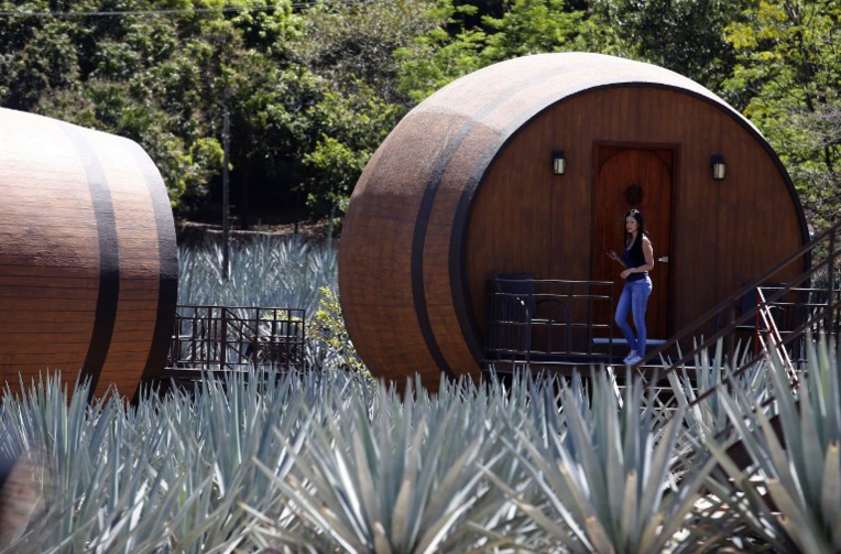 Dormir dans une barrique de tequila : le concept insolite d'un hôtel au Mexique