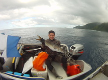 la plus grosse prise du mémorial, un utu de plus de 4 kilos