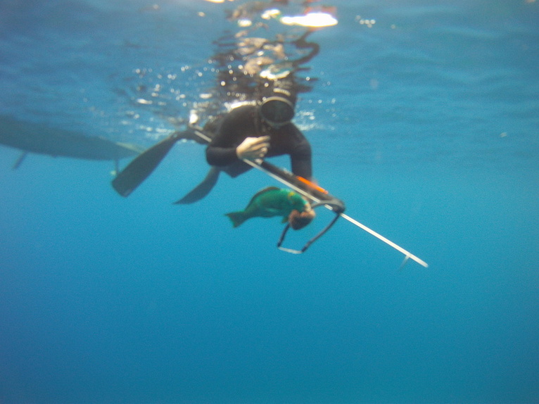 un beau uhu nana'o pris par Teva MONTAGNON et Tepou NEHEMIA