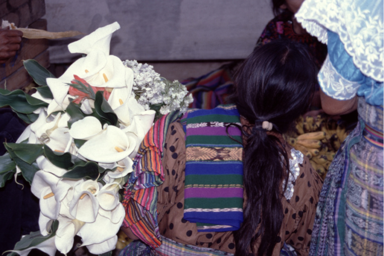 Peinture de Diego Ribera ? Plus simplement une Tzutuhil sur le marché de Santiago, avec une brassée d’arums. Peinture de Diego Ribera ? Plus simplement une Tzutuhil sur le marché de Santiago, avec une brassée d’arums.