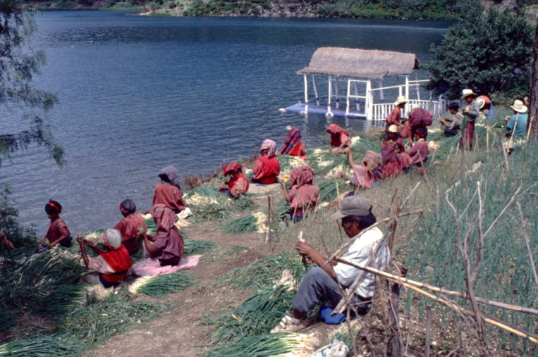 A quelques encablures de la maison du diable, ces paysans mettent en commun leur énergie pour préparer des bottes d’oignons qui seront vendues au marché de Solola. A quelques encablures de la maison du diable, ces paysans mettent en commun leur énergie pour préparer des bottes d’oignons qui seront vendues au marché de Solola.