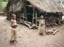 Troubles fonciers à Tanna : don d'un enfant pour construire la paix