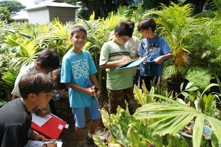 Les élèves de 6ème de la Mennais ont visité l'Assemblée de Polynésie française