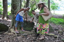 Pierre avec les 5 doigts