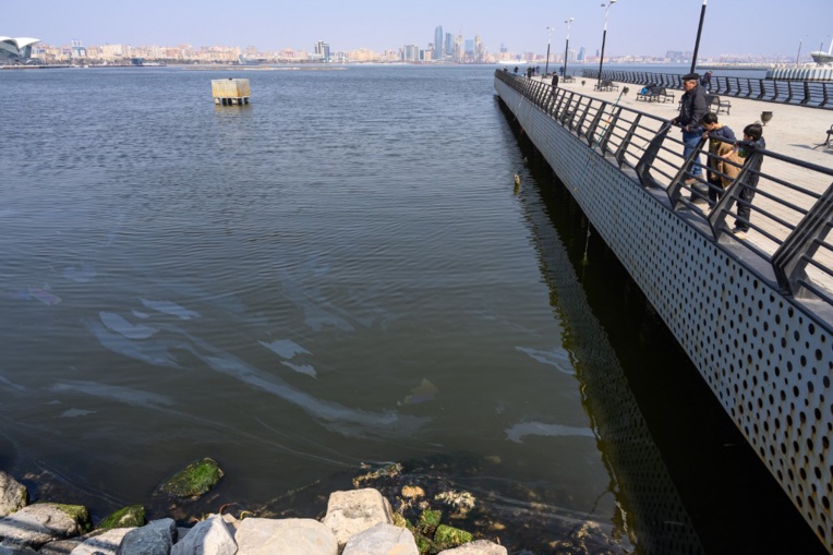 Phoques, caviar et pétrole: la mer Caspienne menacée par la pollution Phoques, caviar et pétrole: la mer Caspienne menacée par la pollution