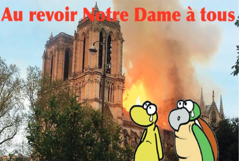 " La cathédrale Notre Dame de Paris " vu par Munoz