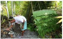 Air Tahiti Toa Nui : un "Koh Lanta" à la sauce polynésienne sur TNTV