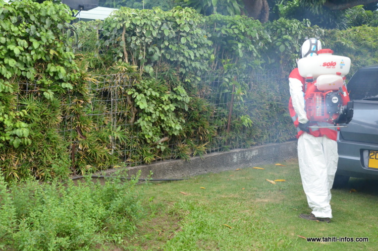 Trois nouveaux quartiers de Mahina touchés par la dengue de type 2