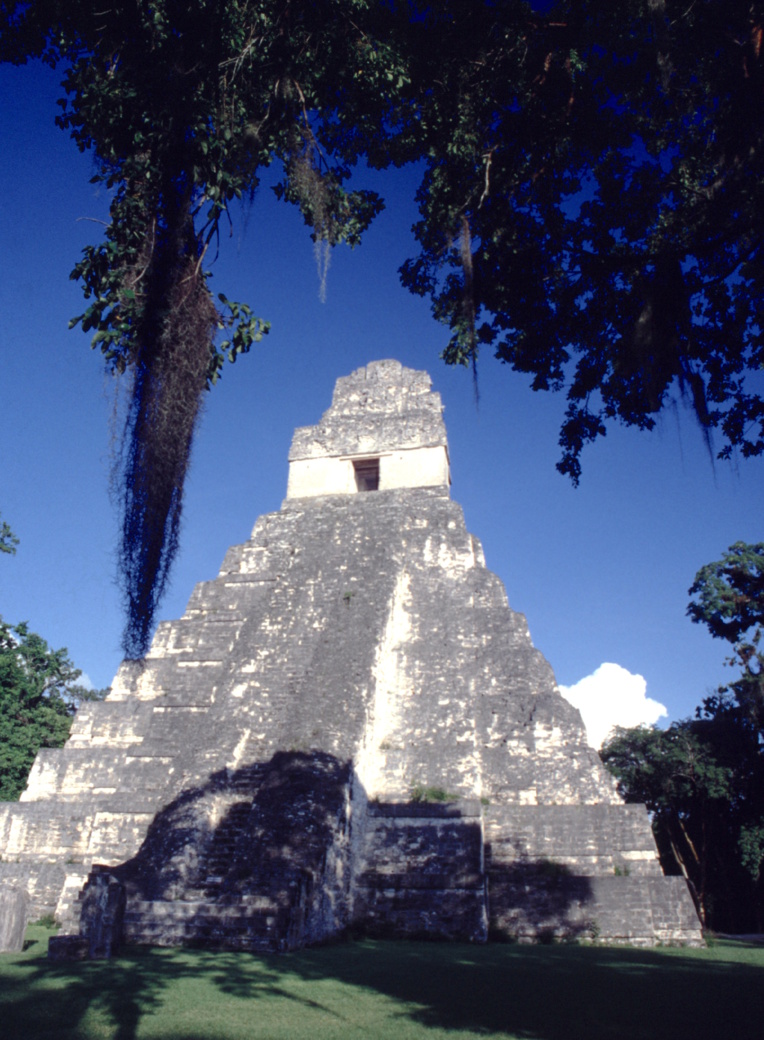 Le sublime temple I au cœur de la grande cité maya ; la végétation tout autour rappelle que la jungle ne demande pas mieux que de recouvrir les ruines si elles étaient à nouveau abandonnées.