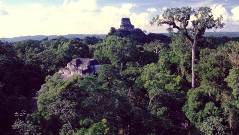 Dans une mer verte, apparaissent quelques vaisseaux de pierre, qui, comme des icebergs, ne dévoilent qu’une petite partie de leur structure... En mille ans, la jungle a littéralement englouti la capitale des Mayas.