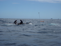 Les Marquises font le plein de « DCP »