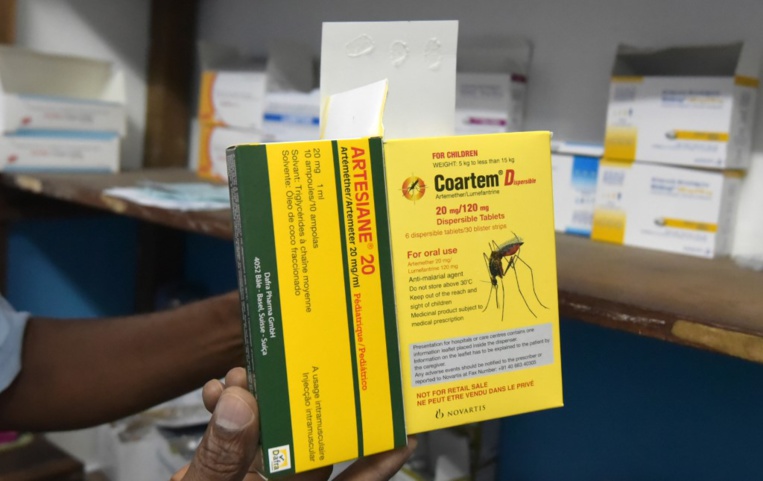 Contre le paludisme: l'artemisia, "produit miracle" qui inquiète les scientifiques