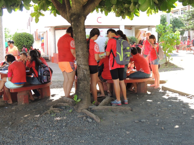 A la prochaine rentrée, une section « européenne ou de langues orientales » va être mise en place. A la prochaine rentrée, une section « européenne ou de langues orientales » va être mise en place.