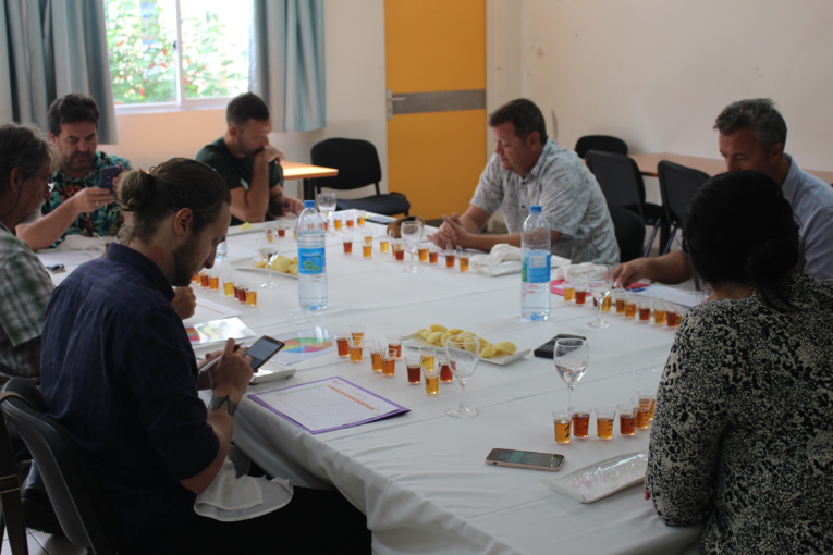 Goutte de miel Meri Rangi remporte la médaille d'or du concours de miel