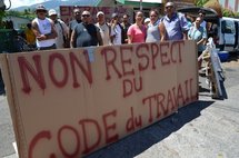 Fermeture du FDA : 82 agents dans l’incertitude