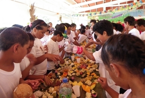 Un évènement spécial Comenius à Rurutu