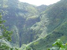 Les recherches sont laborieuses dans les vallées montagneuses de Nuku Hiva