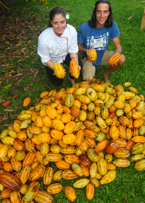 Morgane et Manutea devant la récolte d’une journée ; objectif : bientôt huit tonnes de chocolat « made in Tahiti ».