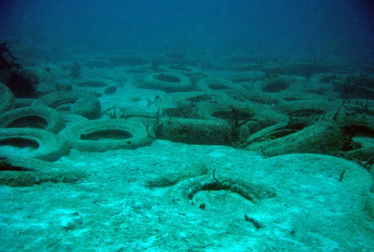 A Cannes, la fin d'un faux récif de vieux pneus, une hérésie environnementale A Cannes, la fin d'un faux récif de vieux pneus, une hérésie environnementale