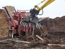 Greenpeace affirme que la biomasse forestière pollue plus que le charbon