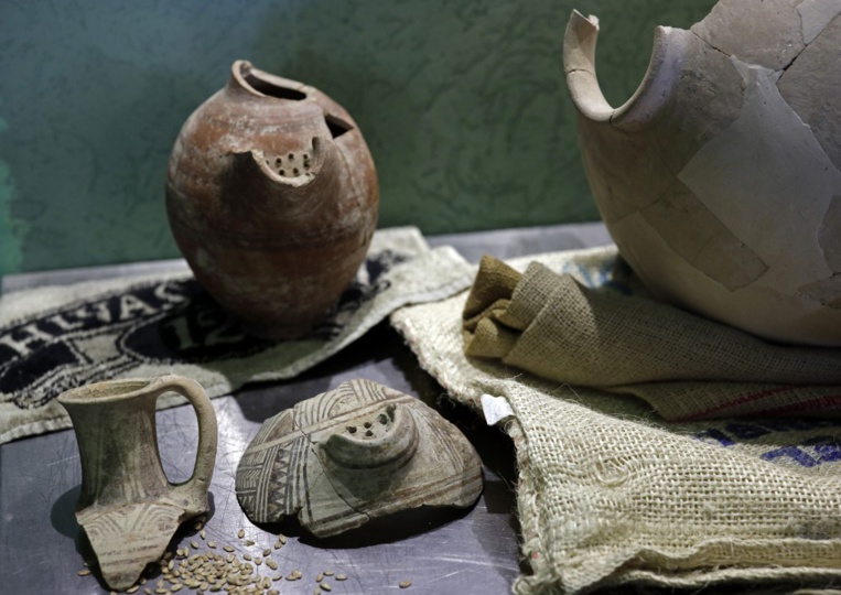Des chercheurs israéliens recréent la "bière des pharaons" avec une levure de 3.000 ans