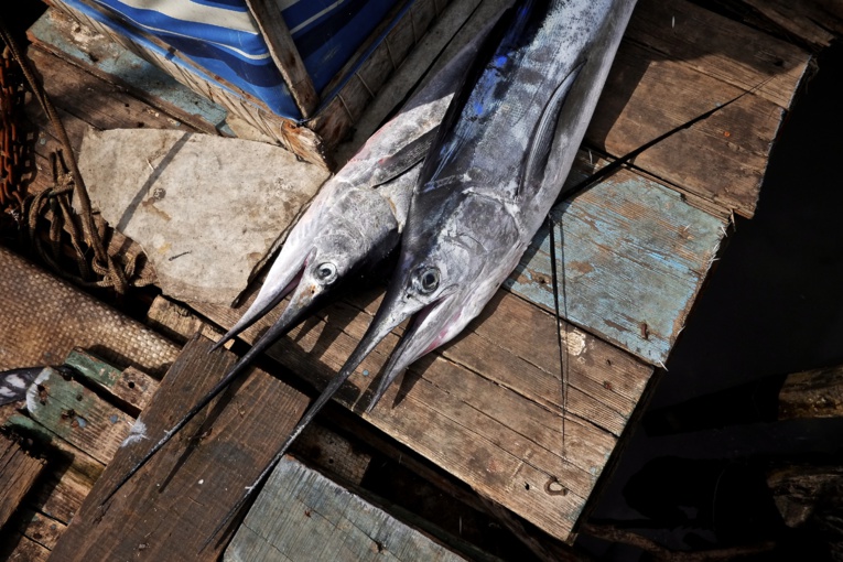 Photo d'illustration. Photo d'illustration.