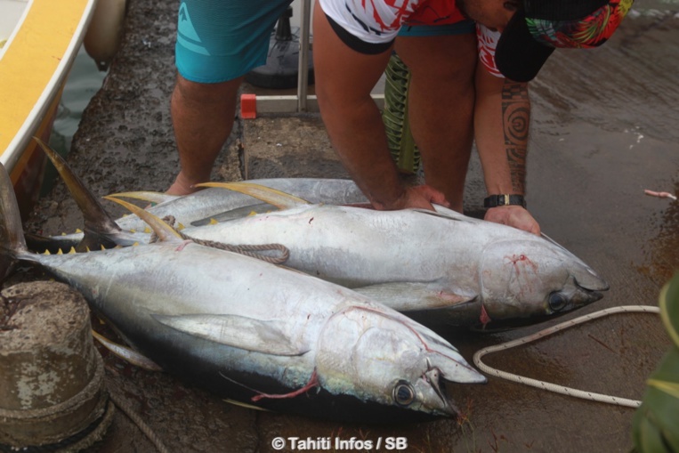 Des prix par catégorie de poisson étaient également attribués Des prix par catégorie de poisson étaient également attribués