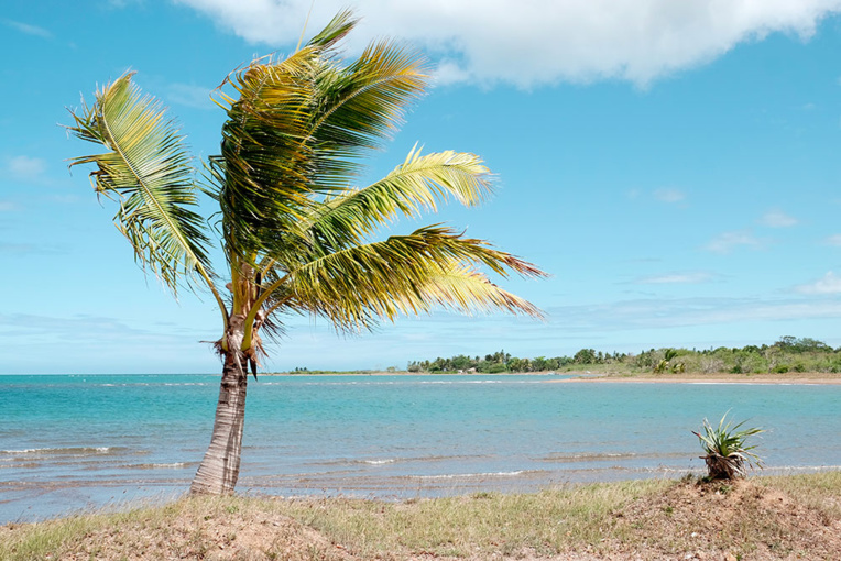 Un pêcheur tué par un requin en Nouvelle-Calédonie Un pêcheur tué par un requin en Nouvelle-Calédonie
