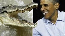 Obama assuré contre les morsures de crocodile pour sa visite australienne