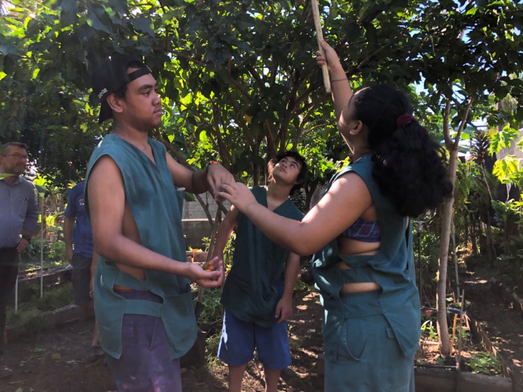 Plus de 377 000 Fcfp récoltés pour l'opération Fa'a'apu du cœur