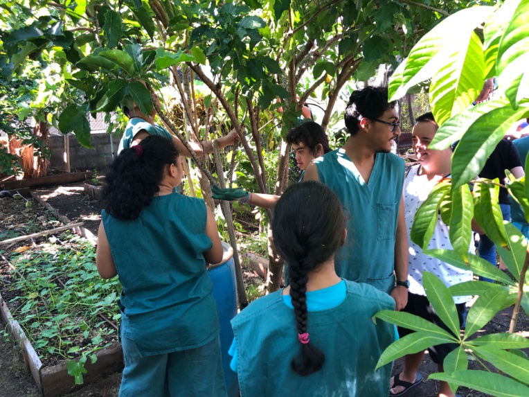 Plus de 377 000 Fcfp récoltés pour l'opération Fa'a'apu du cœur Plus de 377 000 Fcfp récoltés pour l'opération Fa'a'apu du cœur