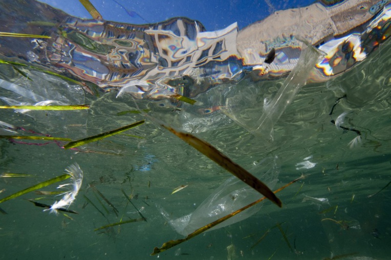 La France, plus gros producteur de déchets de plastique en Méditerranée, selon WWF La France, plus gros producteur de déchets de plastique en Méditerranée, selon WWF