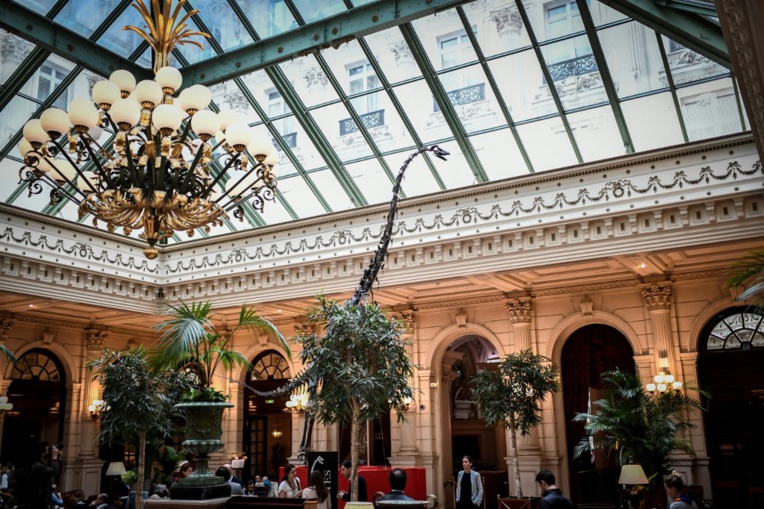 Un cousin du Diplodocus s'affiche dans un grand hôtel parisien avant sa vente Un cousin du Diplodocus s'affiche dans un grand hôtel parisien avant sa vente
