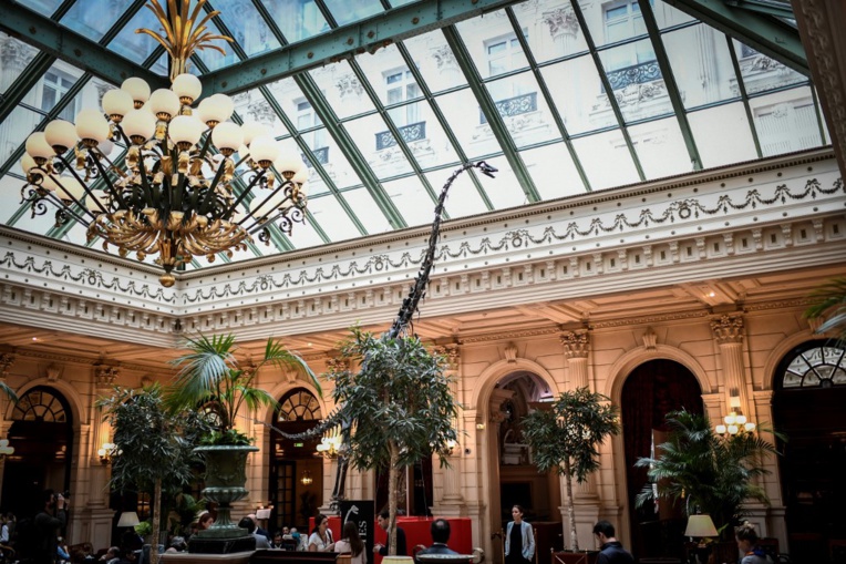 Un cousin du Diplodocus s'affiche dans un grand hôtel parisien avant sa vente