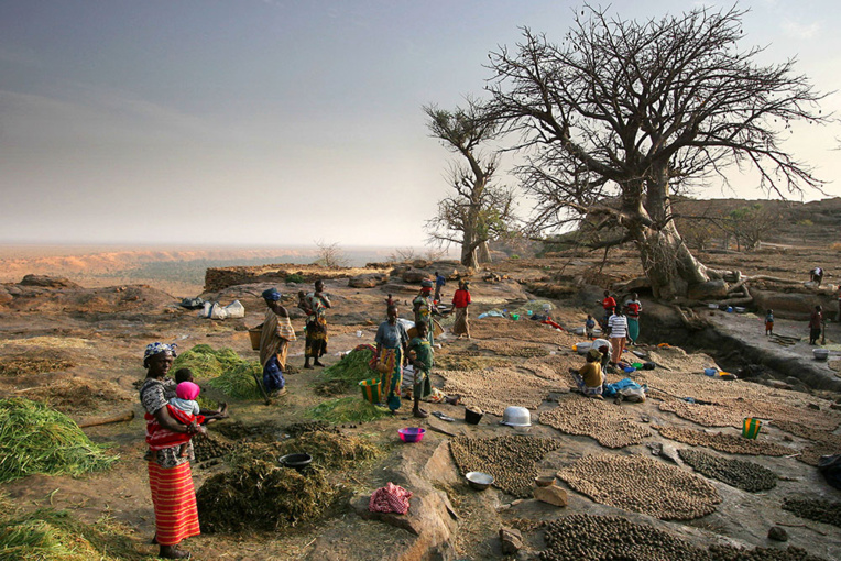 Mali: nouveau "carnage" dans le centre, la "survie" du pays en jeu, selon IBK