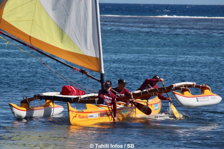 Les Holopuni possèdent deux balanciers Les Holopuni possèdent deux balanciers