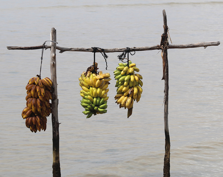 Carnet de voyage - Balade autour de Raivavae Carnet de voyage - Balade autour de Raivavae