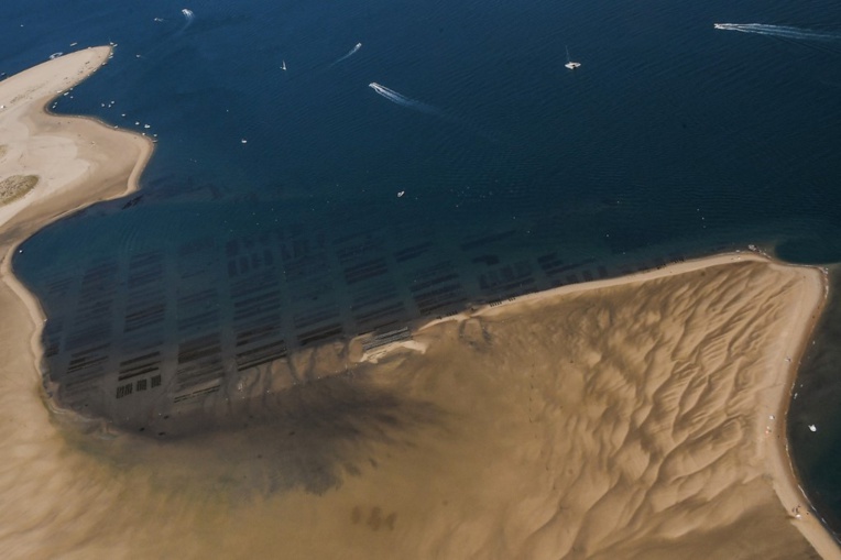 Lentement grignoté, le Cap Ferret se bat sans relâche contre l'érosion Lentement grignoté, le Cap Ferret se bat sans relâche contre l'érosion