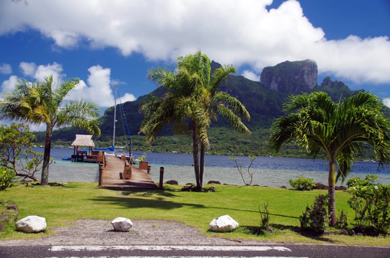 "Il ressort de l'étude d'impact que le chantier aura forcément un impact non négligeable sur le milieu lagonaire dans son état naturel actuel", précise Nicolas Bruno du bureau d'étude Vetea. "Il ressort de l'étude d'impact que le chantier aura forcément un impact non négligeable sur le milieu lagonaire dans son état naturel actuel", précise Nicolas Bruno du bureau d'étude Vetea.