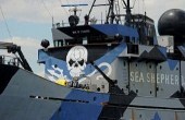 Les baleiniers japonais portent plainte contre Sea Shepherd aux Etats-Unis
