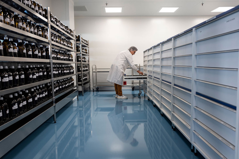 Homéopathie: le remboursement, c'est bientôt fini Homéopathie: le remboursement, c'est bientôt fini