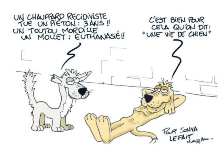 "Une vie de chien" vu par Munoz "Une vie de chien" vu par Munoz