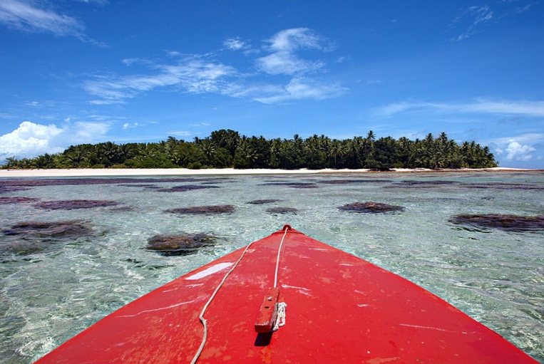 Certaines îles du Pacifique résistent au changement climatique Certaines îles du Pacifique résistent au changement climatique