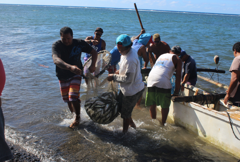   Distribution gratuite d'une pêche miraculeuse de ature à Tautira